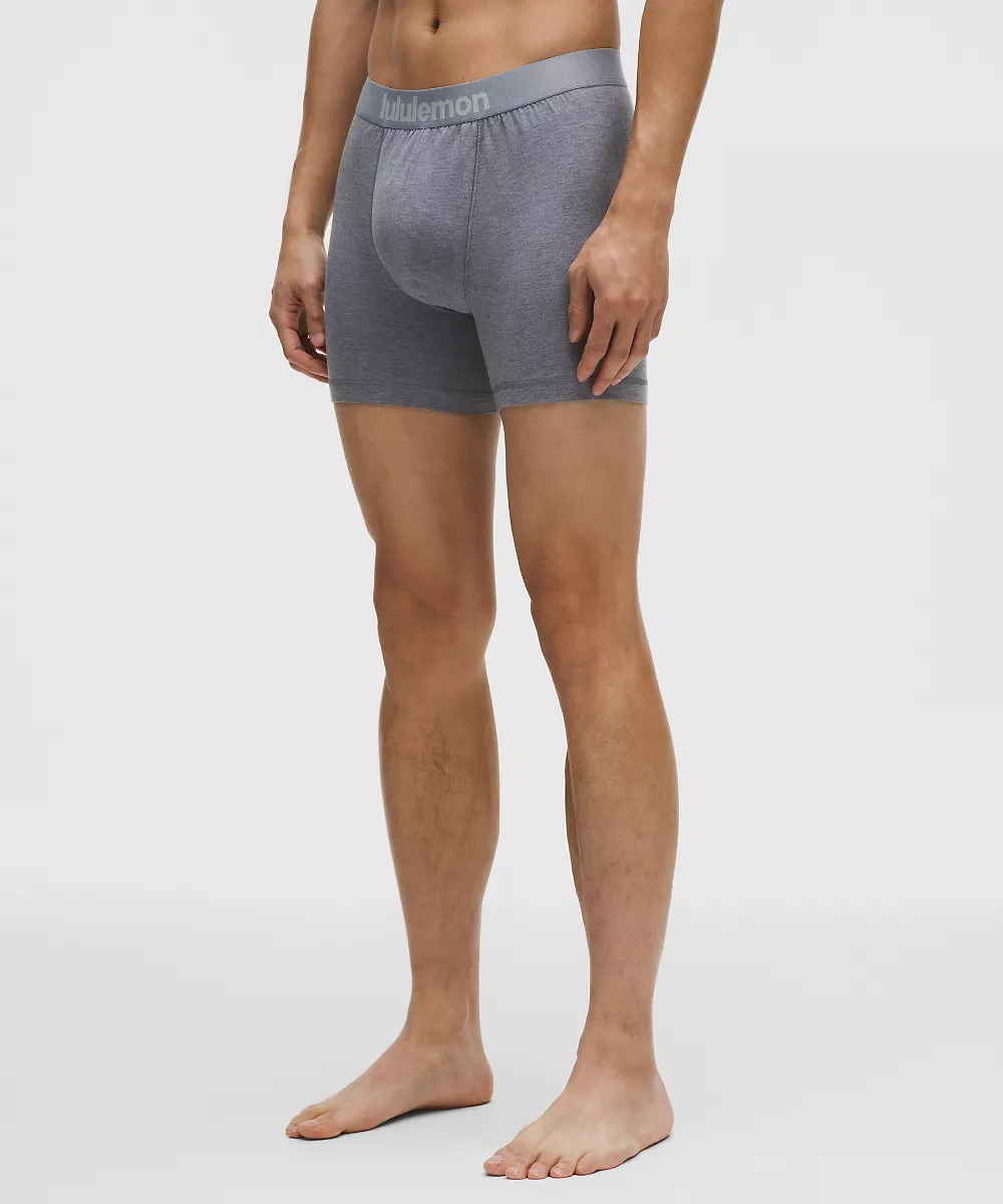 Boxer long Always In Motion 5" *Lot de 3 — Heathered Solar Grey/Heathered Silver Drop/White, view 2